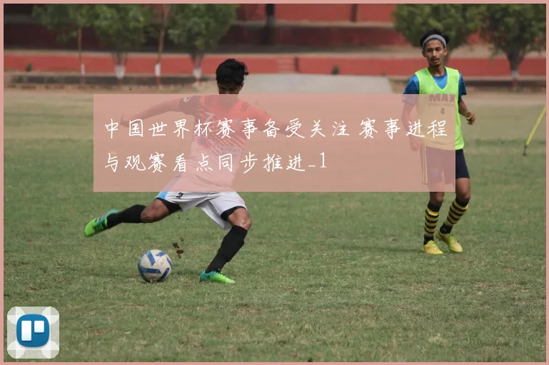 中国世界杯赛事备受关注 赛事进程与观赛看点同步推进_1