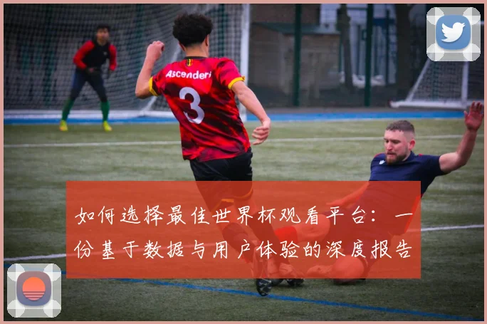 如何选择最佳世界杯观看平台：一份基于数据与用户体验的深度报告