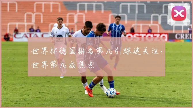 世界杯德国排名第几引球迷关注,世界第几成焦点