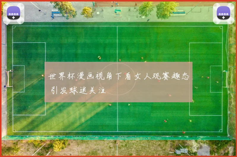 世界杯漫画视角下看女人观赛趣态 引发球迷关注
