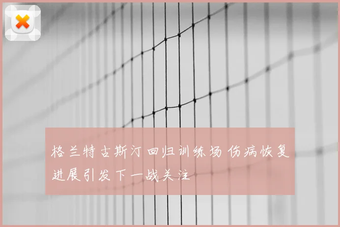 格兰特古斯汀回归训练场 伤病恢复进展引发下一战关注