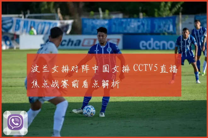 波兰女排对阵中国女排 CCTV5直播焦点战赛前看点解析