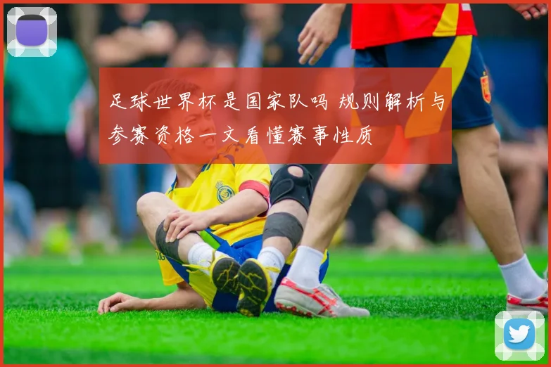 足球世界杯是国家队吗 规则解析与参赛资格一文看懂赛事性质